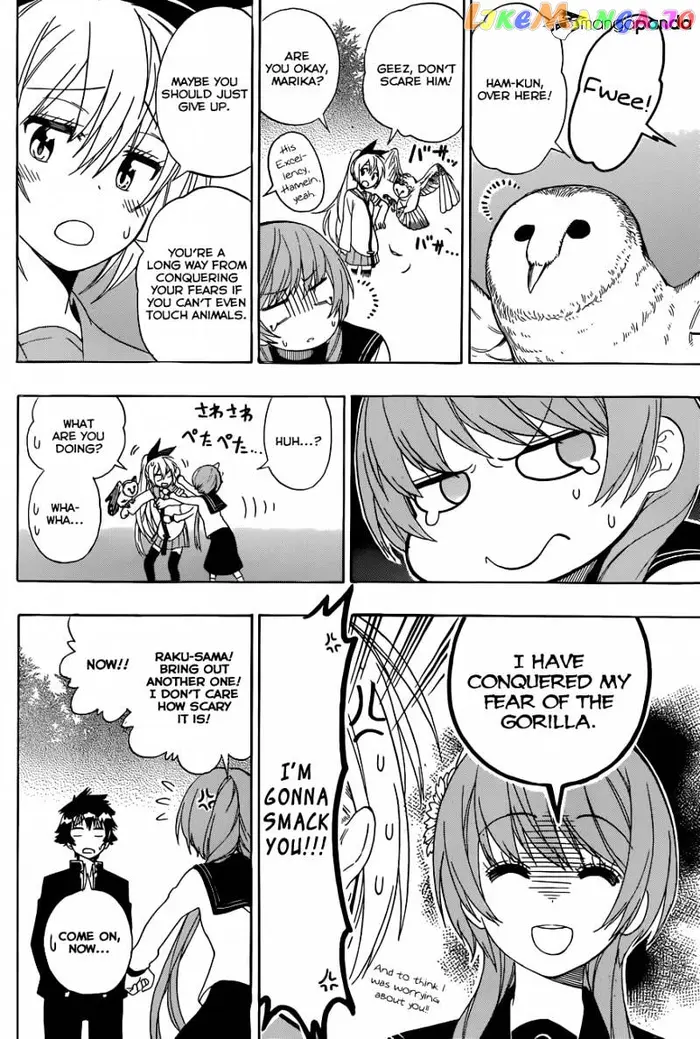 Nisekoi Chapter 142 image 11_optimized
